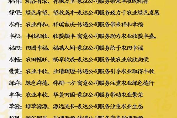 如何为送货公司起一个既有创意又能吸引客户的名字
