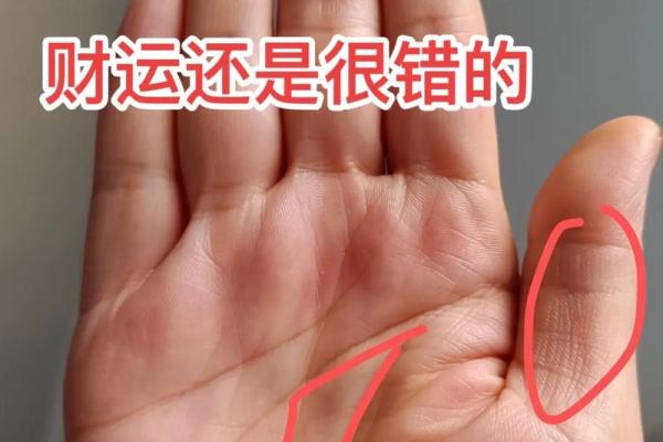 川形手相解析：掌握命运脉搏，开启成功之门
