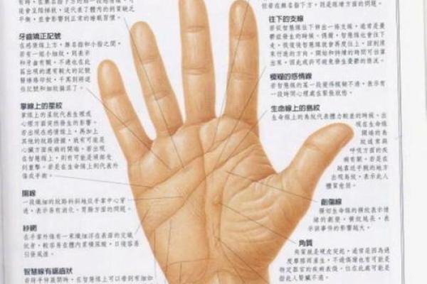 一掌在手，运势全收：手相图解宝典，带你走进神秘的手相世界