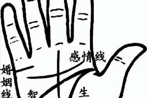 一掌在手，运势全收：手相图解宝典，带你走进神秘的手相世界