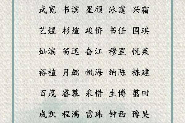 如何通过专业起名公司软件选择理想品牌名称