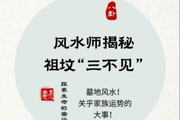 家居风水大师揭秘：招财风水装饰必备攻略！