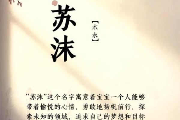 石姓名字精选：韩国名字石的独特魅力与搭配技巿