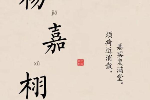 探索杨禾名字的文化背景与象征意义