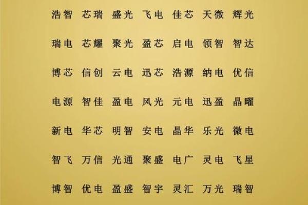 为你的IT公司挑选一个响亮名字的实用指南