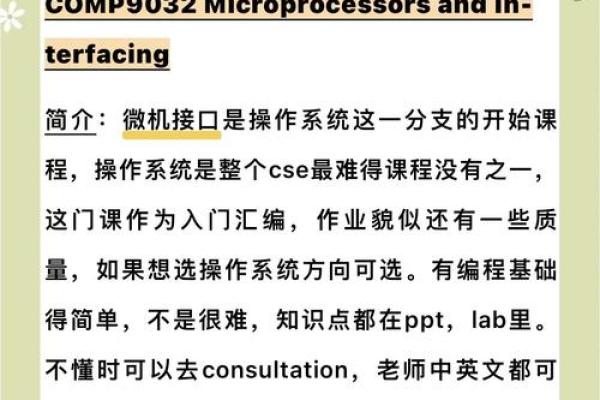 为你的IT公司挑选一个响亮名字的实用指南