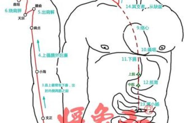 手上藏颈椎秘密，一招揭秘健康隐患