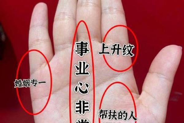 手相解码，头脑线预示未来成功之路！