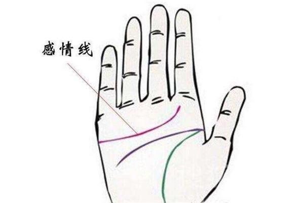 爱情甜蜜，手相透露幸福婚姻密码