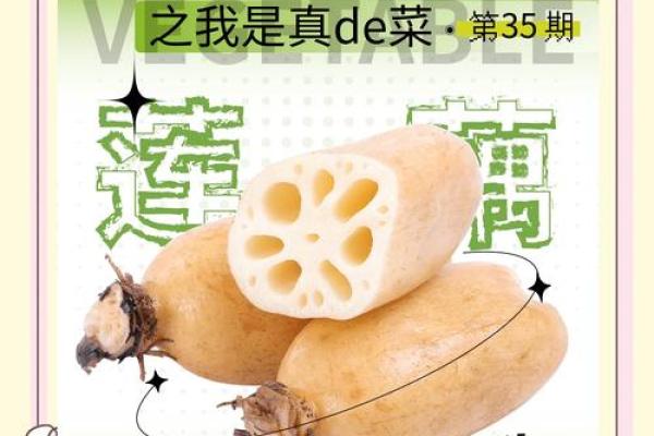 莲藕命格大揭秘：如何从莲藕中汲取生命智慧