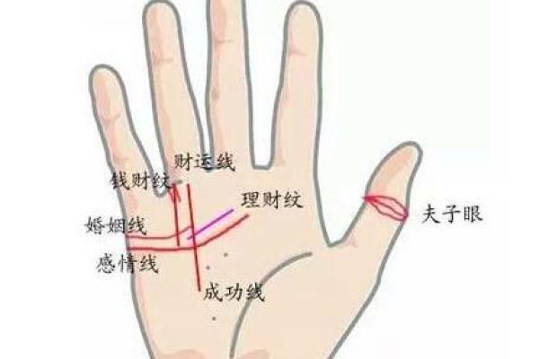 横财运爆棚，手相揭秘秘诀！