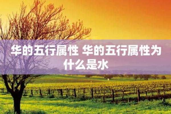 五行与华的完美融合：解密华的五行属性