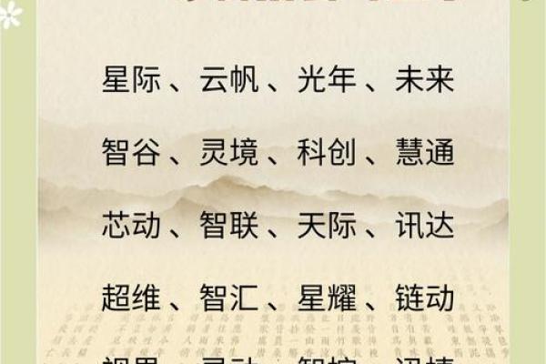 如何为科技公司选择一个独特而有力的名字