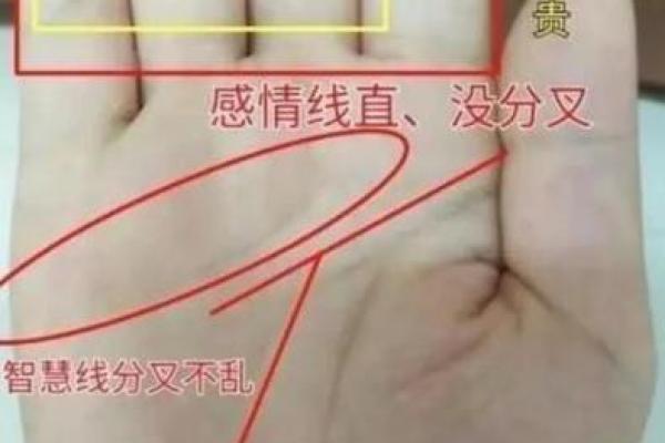 手相岛纹揭秘：运势大揭秘！
