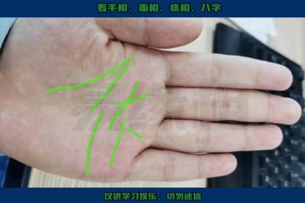 手相岛纹揭秘：运势大揭秘！