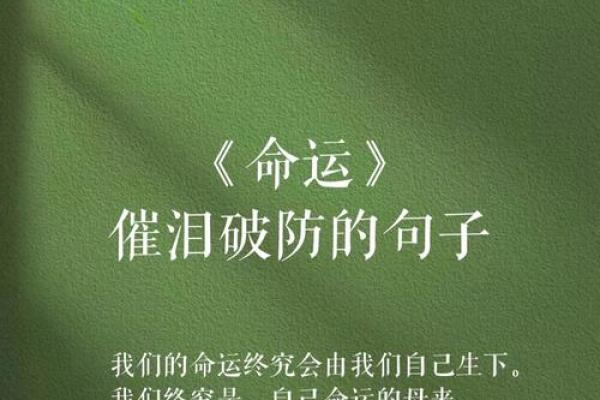 细长眼眸映照命运长河