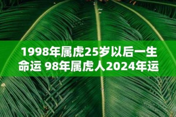 天机解码：揭秘命运转折的时空奥秘