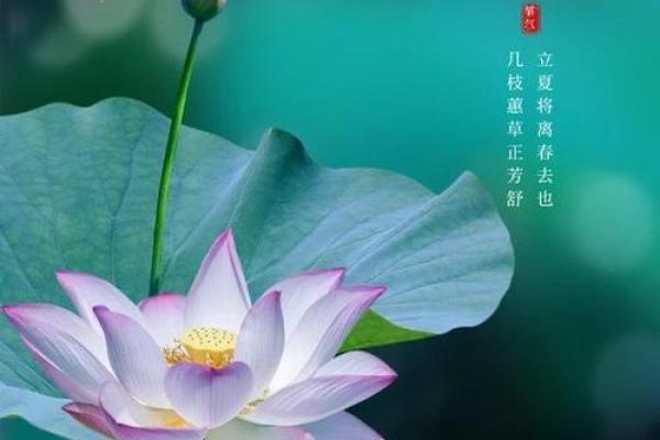 立夏时节，民间习俗话丰收
