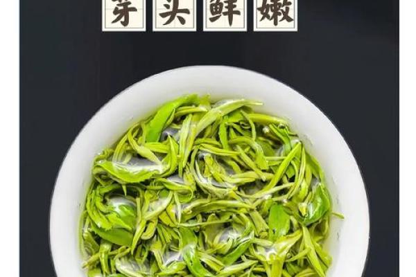 探寻毛尖茶背后的传统文化底蕴