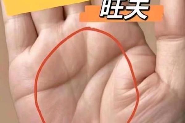 神秘手相揭秘：掌握财运、事业的关键在此！