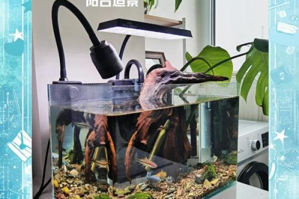 超值家居风水鱼缸，价格透明，畅销爆款！