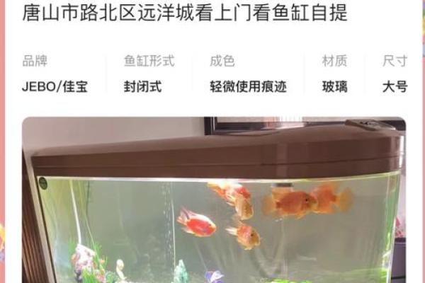 超值家居风水鱼缸，价格透明，畅销爆款！