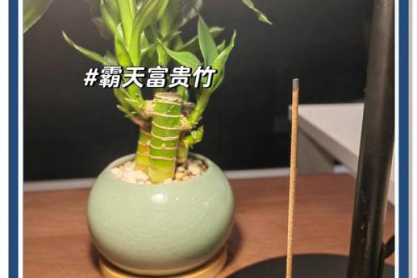 破解子长办公室风水之谜，让你财运亨通工作顺心