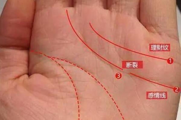 男人的好运手相，揭秘财富与幸福的密码