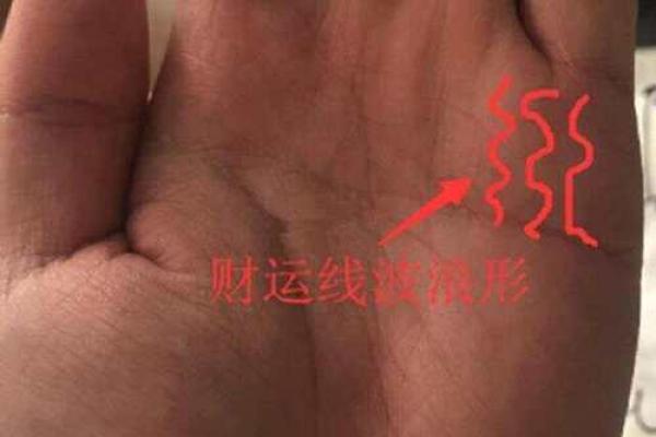 男人的好运手相，揭秘财富与幸福的密码