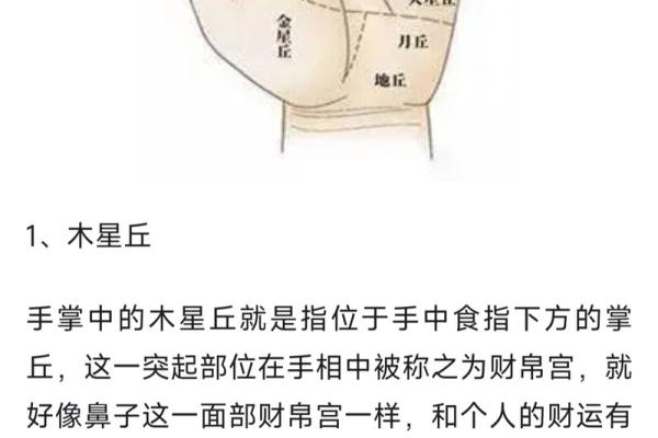 面相手纹解码：子女命运的神秘线索