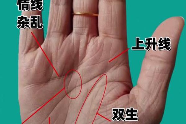 面相手纹解码：子女命运的神秘线索