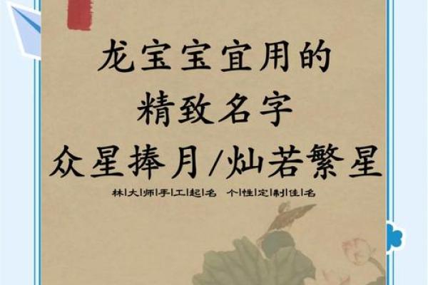 龙脉传承，智慧宝宝名篇精选