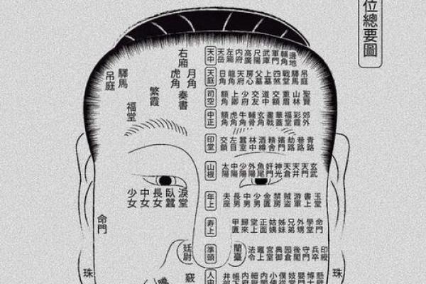 圆鼻头女人面相揭秘：财运亨通的秘密面相