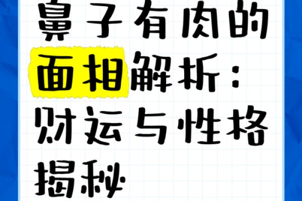 圆鼻头女人面相揭秘：财运亨通的秘密面相