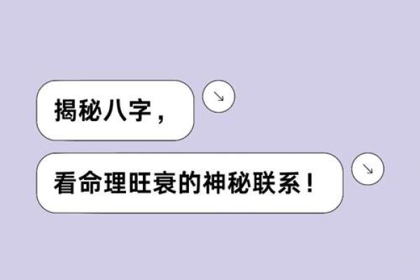 美食与命理：解锁健康与运势的双重密码