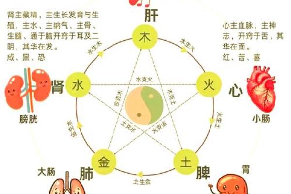 五行中的金木关系：影响命运的关键