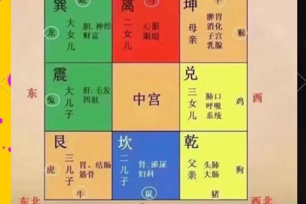 从家居风水到五脏六腑，探索健康生活的智慧之道