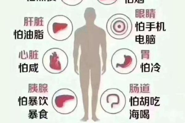 从家居风水到五脏六腑，探索健康生活的智慧之道