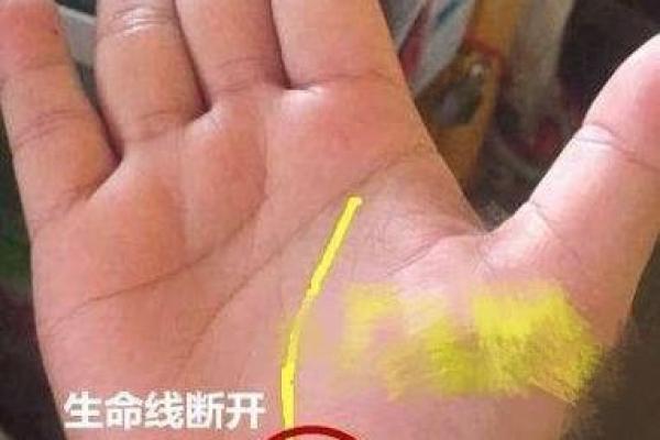 解锁命运密码的十二生肖手相宝典
