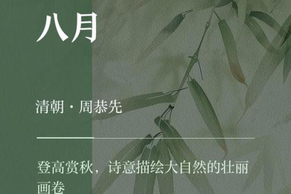 盛夏狂欢，探寻八月的传统节庆魅力