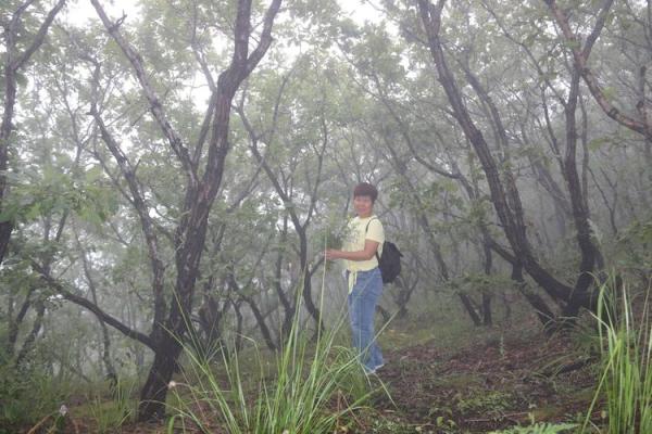 神秘仙节，传承民俗韵味
