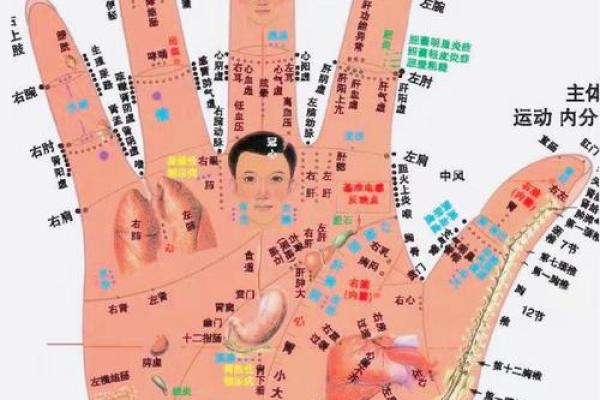 揭秘手相病纹：一看便知的健康信号！