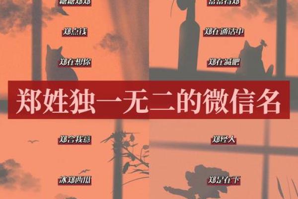 郑姓宝宝，温馨创意好名字