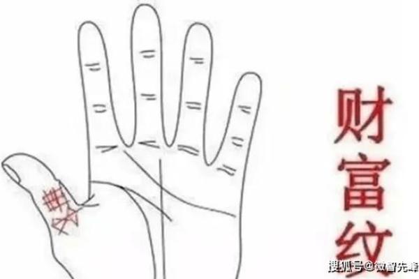 手相揭秘：掌握财富命运的神奇指南