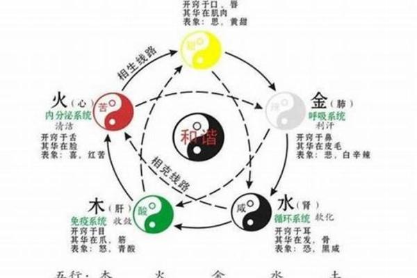 佳字五行属性的深层次分析