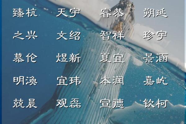 名字里带天字的寓意与影响探讨