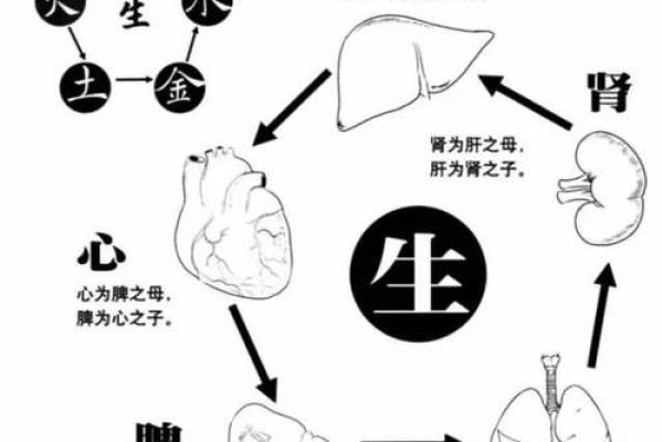 明朝五行学说与文化发展的关系