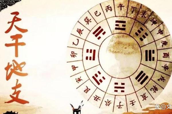 一招解锁天干地支计算，揭秘古老时间的秘密