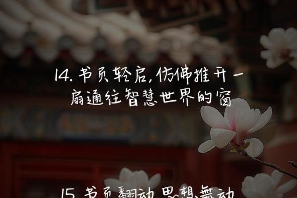 字里行间：探索名字的奥秘