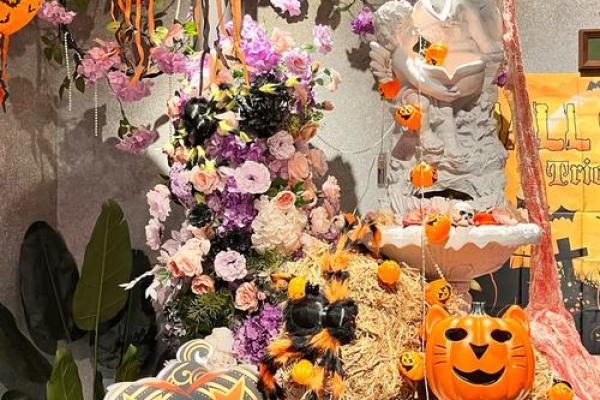 烟花璀璨，狂欢盛宴：万圣节之夜